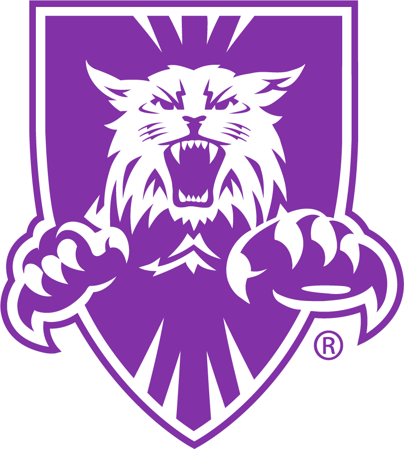 Weber State Wildcats 1996-2012 Alternate Logo v2 DIY iron on transfer (heat transfer)